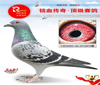 �������ܻ�Ѫ