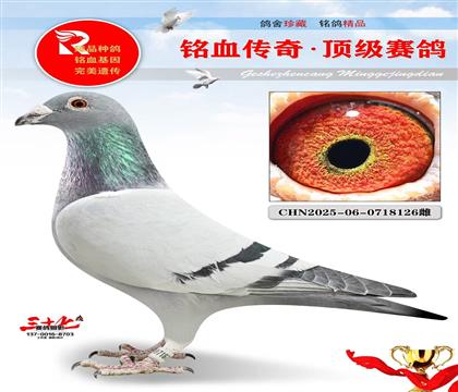 ��õĹ�����