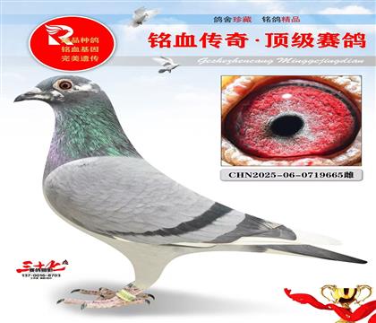 ��õĹ�����