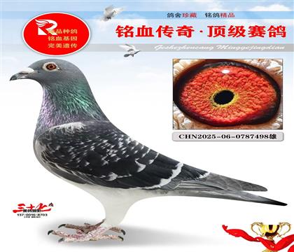 ���š�Ұ������Ѫ