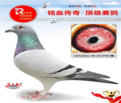 �ٶȲ����ء�Ư�����ض�