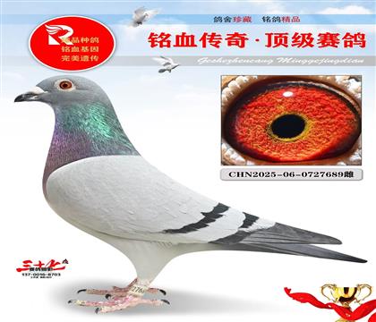 �ٶȲ����ء�Ư�����ض�