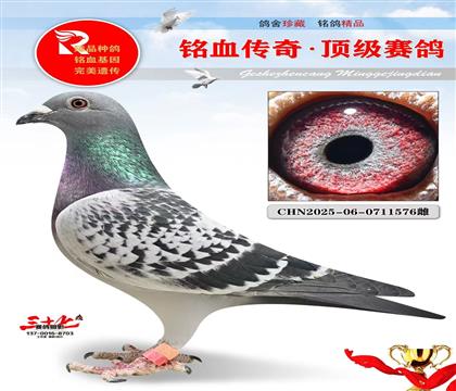 ���ˡ�ղɭ���ٶ�ħ��