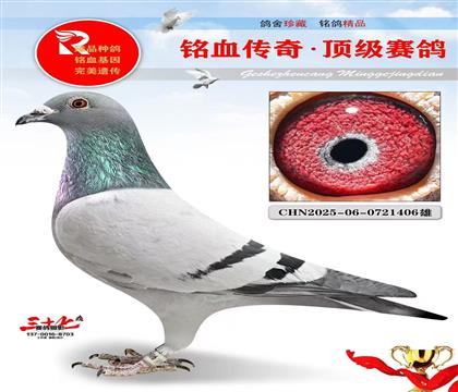 ���չھ���Ѫ���ǳ���