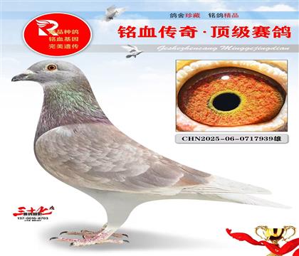 ���������ֱ�ӡ���������