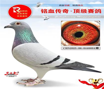 �ٶȲ��������ֱ�ӡ�ֱŮ