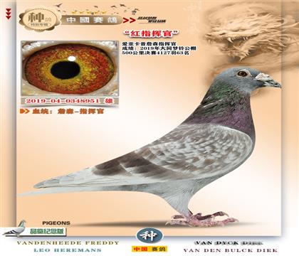 8-ָ�ӹٽ���+���ǿ��պ�ղɭ