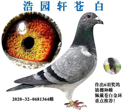 ��������԰��ص��Ƽ�