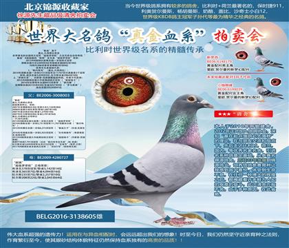 �Ǳ�ԭ��-��³�ϡ�ֱ�ӡ���������ŷ��֮ȫ�ֵ�