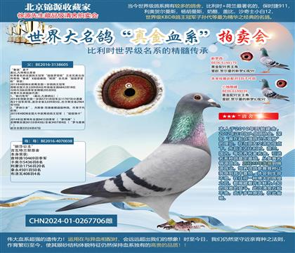 ����������ŷȫ�ֵܡ�X����ɯ������24-0267706��