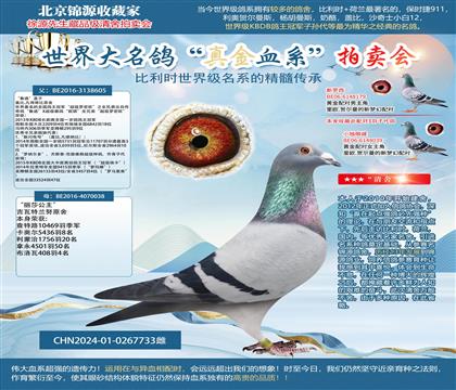 ����������ŷȫ�ֵܡ�X����ɯ������24-0267733��