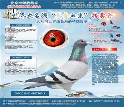 ��³�ϡ�ֱ��XֱŮ23-0977702��