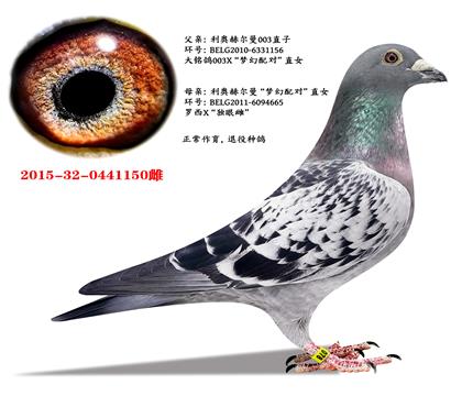 ���ºն���003ֱ��X�λ����ֱŮ