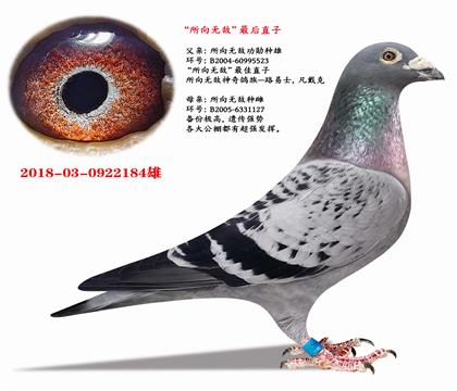 ���������޵�������ֱ��