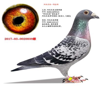 ��ѫ��ĸ�������޵С�һ�������ָ�