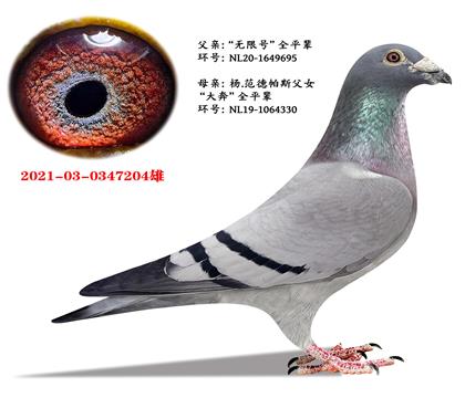 ��.������˹�����޺š�X���󱼡�ȫƽ��