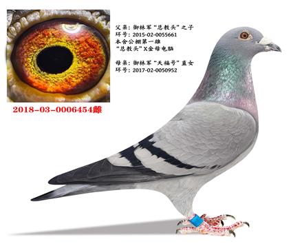 ���־����ܽ�ͷ��ֱ��X���츣�š�ֱŮ