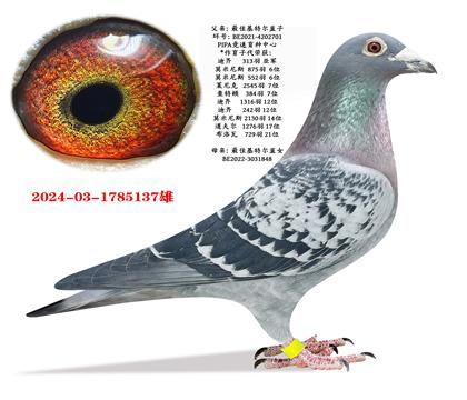 ��ѻ��ض�ֱ��X��ѻ��ض�ֱŮ