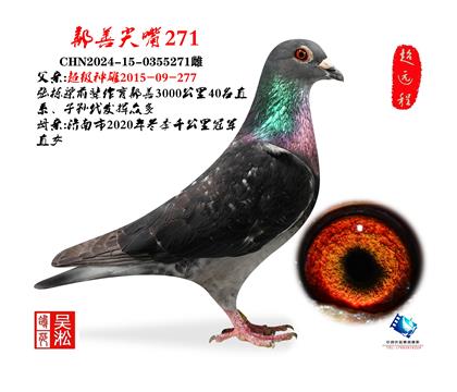 吴淞小尖嘴·鄯善3000公里高辈分