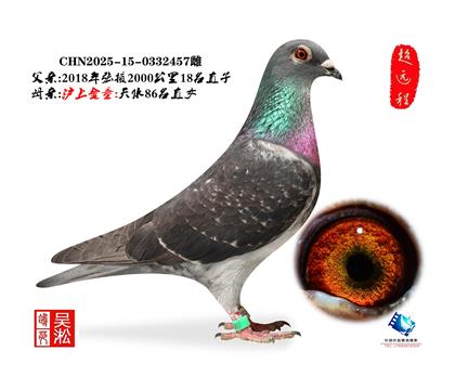 吴淞小圆头·张掖18名直子&天水86女儿 (2)