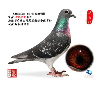 吴淞跃龙鸟·雄498