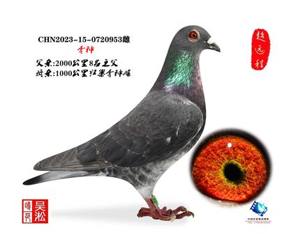 李种·2000公里八名同父