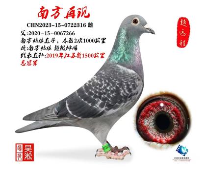 典藏:南方姑娘直女