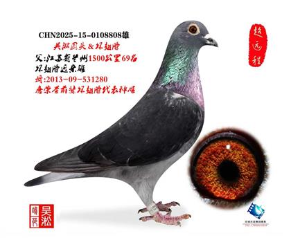 兰州1500公里69名直子