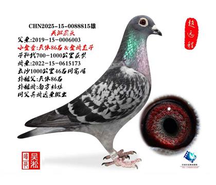 天水86名直子女近亲作出