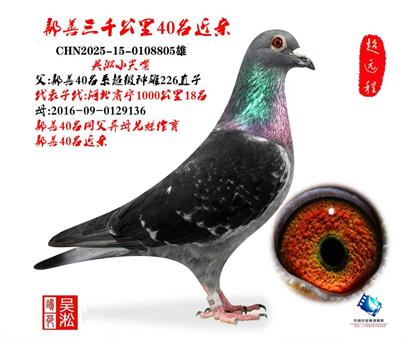 吴淞小尖嘴·鄯善40名直系