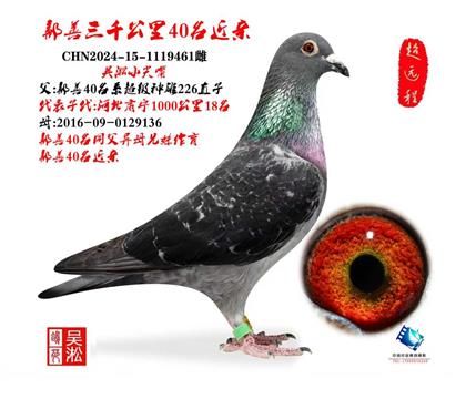 吴淞小尖嘴·鄯善3000公里30名直系