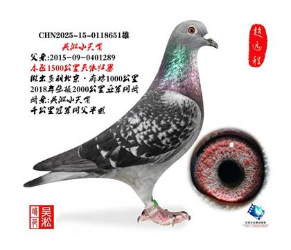 吴淞小尖嘴·天水1500公里直子651