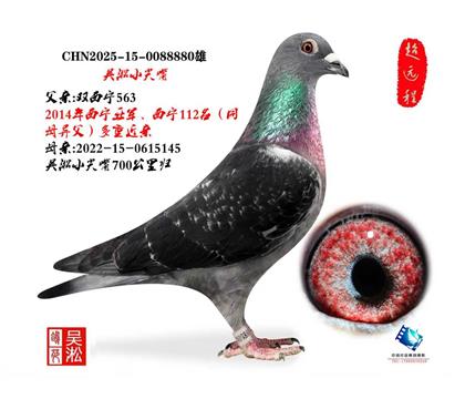 吴淞小尖嘴·西宁亚军、112名家族