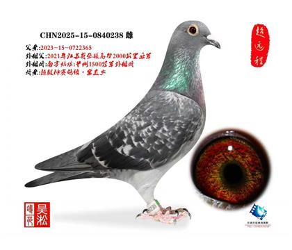 张掖2000公里亚军直子&悟空直女