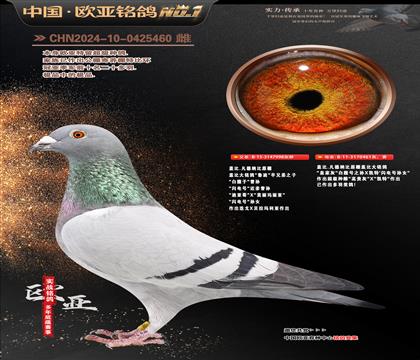 盖比原舍鲁迪998X盖比047