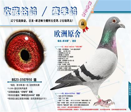 <开尔13名之父>瑞克-库尔斯:闪电号