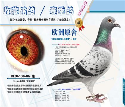 <天津皓翔4名之父>玛蒂娜”:英格斯