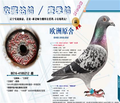 <菲利普.多布拉:原舍>“艾薇塔”全姐妹