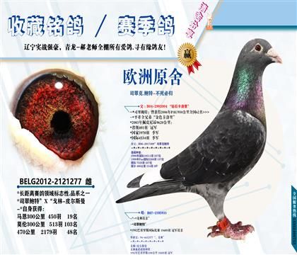 <不死必归>司翠克.鲍特