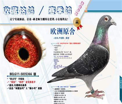 <-吉多.卢克斯>盖比闪电号