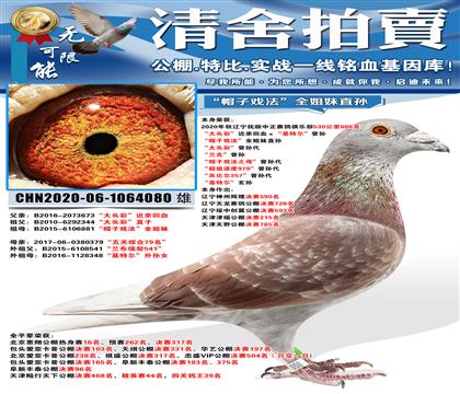 “帽子戏法”全姐妹直孙作出: 神州辉煌决赛590名