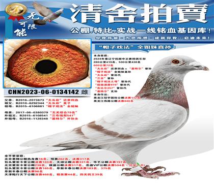 “600公里72名”“帽子戏法”全姐妹直孙作出:冠宇国际11