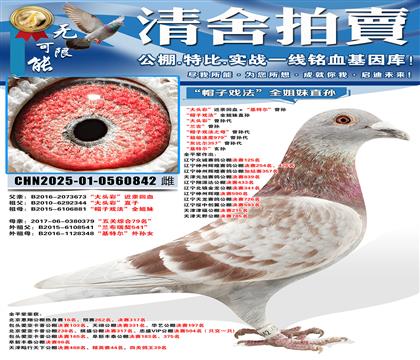 “帽子戏法”全姐妹直孙女 “大头彩”曾孙代 “兰吉”曾孙 “