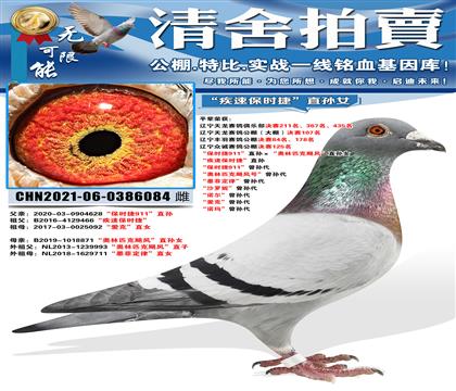 “保时捷911”直孙ד奥林匹克飓风”直孙女 “疾速保时捷”