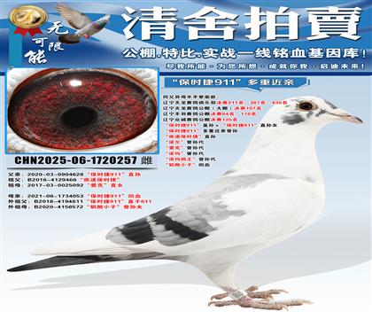 “保时捷911”直孙ד保时捷911”直孙女 “保时捷911