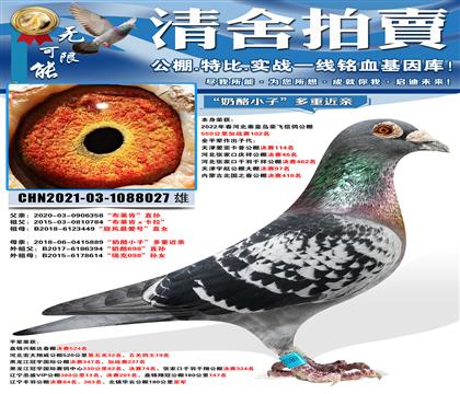 “豪飞加战赛102名”“布莱肯”直孙ד奶酪小子”多重近亲