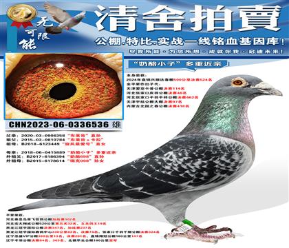 “兴顺达决赛524名”“布莱肯”直孙ד奶酪小子”多重近亲