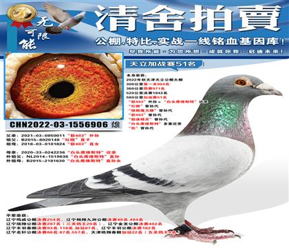 “天津天立大棚加战赛51名”“新483”外孙ד白头席维斯特