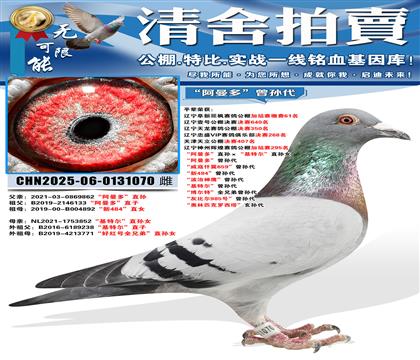 “阿曼多”直孙ד基特尔”直孙女 “阿曼多”曾孙代 “威寇仟