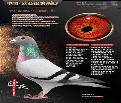 利奥原舍024X欧元孙代029